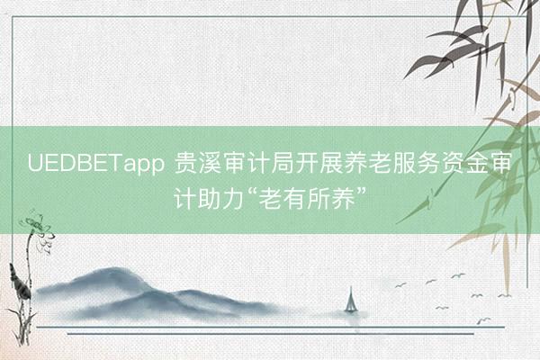 UEDBETapp 贵溪审计局开展养老服务资金审计助力“老有所养”
