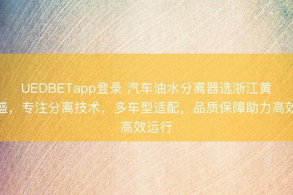 UEDBETapp登录 汽车油水分离器选浙江黄岩天盛，专注分离技术，多车型适配，品质保障助力高效运行
