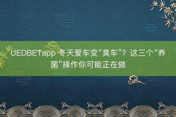 UEDBETapp 冬天爱车变“臭车”？这三个“养菌”操作你可能正在做