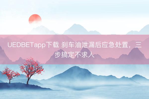 UEDBETapp下载 刹车油泄漏后应急处置，三步搞定不求人