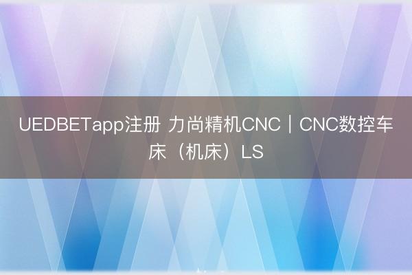 UEDBETapp注册 力尚精机CNC｜CNC数控车床（机床）LS
