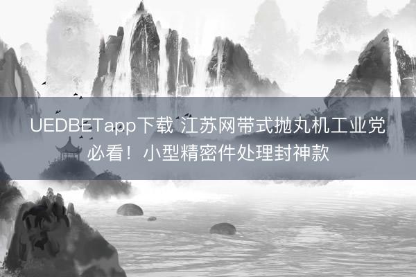 UEDBETapp下载 江苏网带式抛丸机工业党必看!小型精密件处理封神款