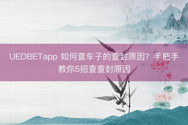 UEDBETapp 如何查车子的查封原因？手把手教你5招查查封原因