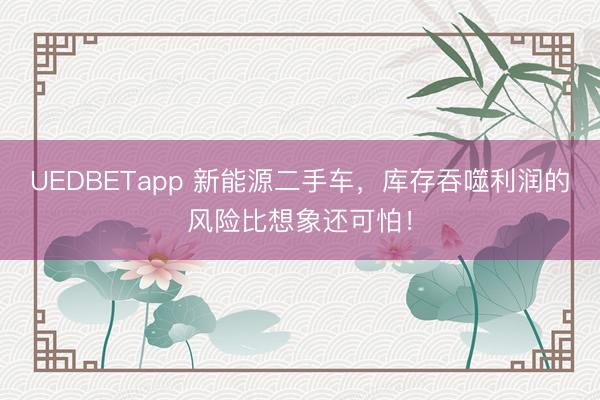 UEDBETapp 新能源二手车，库存吞噬利润的风险比想象还可怕！