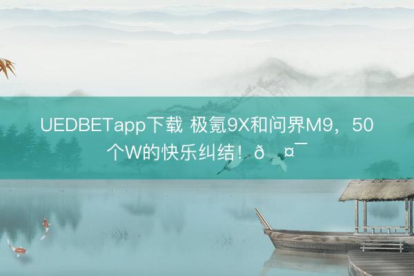 UEDBETapp下载 极氪9X和问界M9，50个W的快乐纠结！🤯