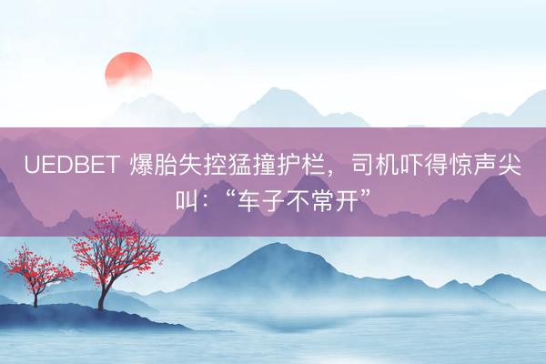 UEDBET 爆胎失控猛撞护栏,司机吓得惊声尖叫:“车子不常开”
