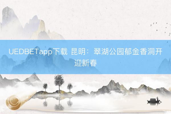 UEDBETapp下载 昆明：翠湖公园郁金香洞开迎新春