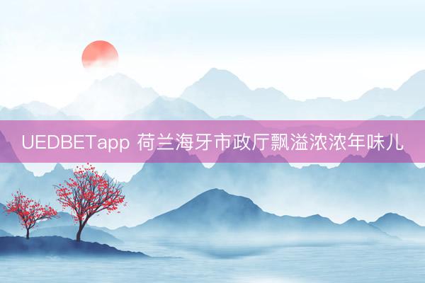 UEDBETapp 荷兰海牙市政厅飘溢浓浓年味儿
