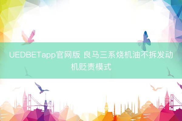 UEDBETapp官网版 良马三系烧机油不拆发动机贬责模式