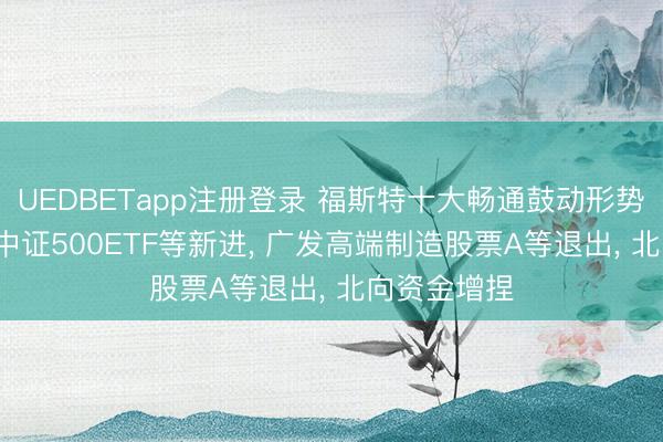 UEDBETapp注册登录 福斯特十大畅通鼓动形势生变: 南边中证500ETF等新进， 广发高端制造股票A等退出， 北向资金增捏