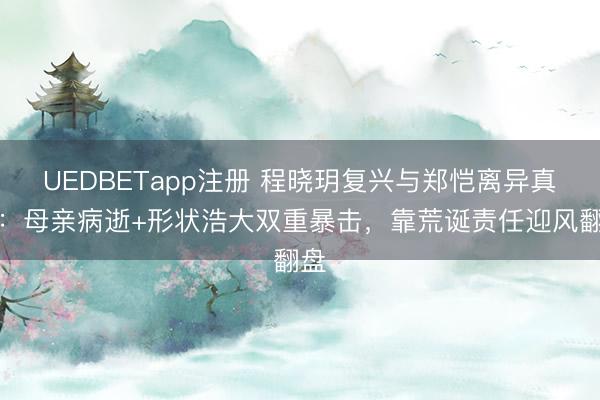 UEDBETapp注册 程晓玥复兴与郑恺离异真相:母亲病逝+形状浩大双重暴击,靠荒诞责任迎风翻盘
