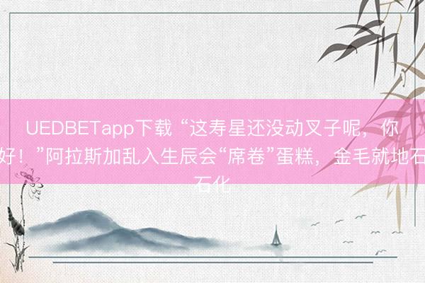 UEDBETapp下载 “这寿星还没动叉子呢，你倒好！”阿拉斯加乱入生辰会“席卷”蛋糕，金毛就地石化
