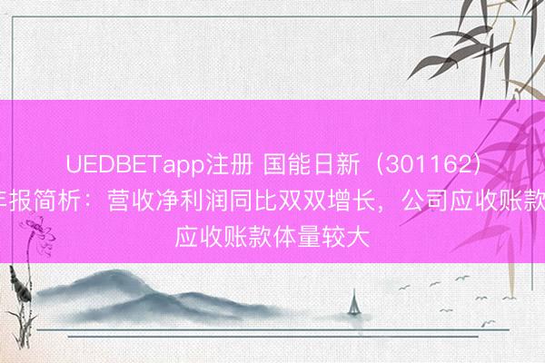 UEDBETapp注册 国能日新(301162)2025年年报简析:营收净利润同比双双增长,公司应收账款体量较大