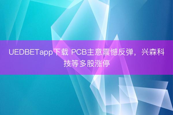 UEDBETapp下载 PCB主意震憾反弹，兴森科技等多股涨停